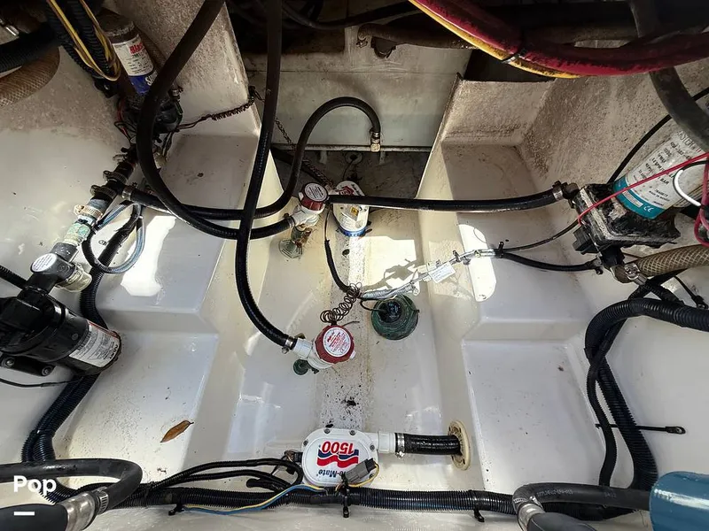 Slide: The Image of Century 3200 CC 2015 - 15410622