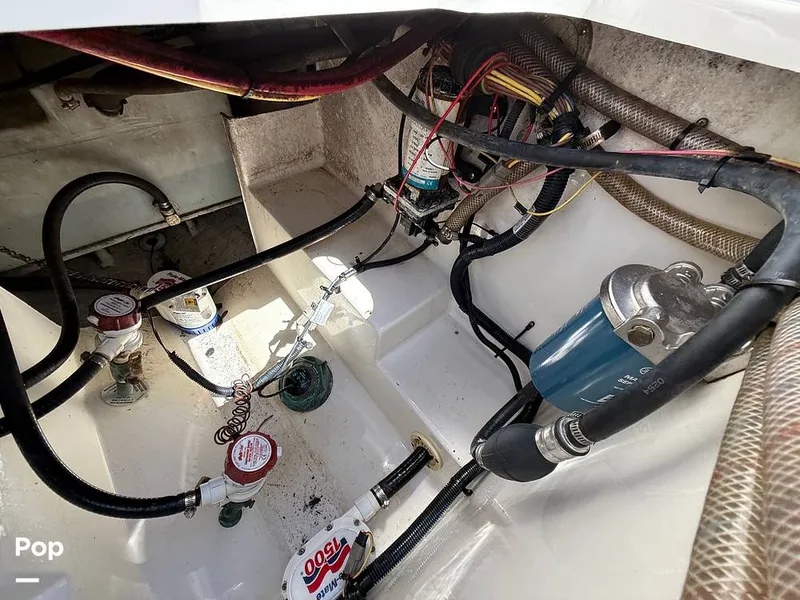 Slide: The Image of Century 3200 CC 2015 - 15410623