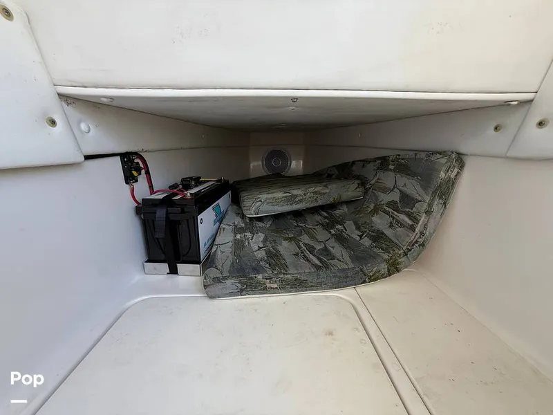 Slide: The Image of Century 3200 CC 2015 - 15410516