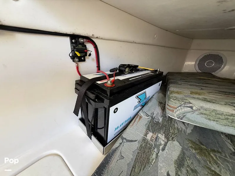 Slide: The Image of Century 3200 CC 2015 - 15410584