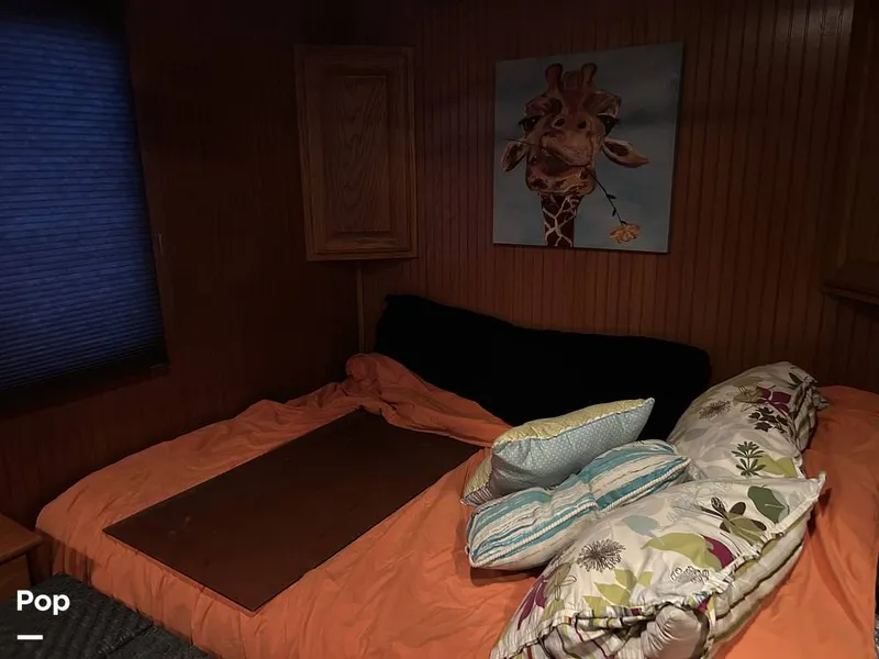 Slide: The Image of Sumerset Stardust 70 1987 - 16128024