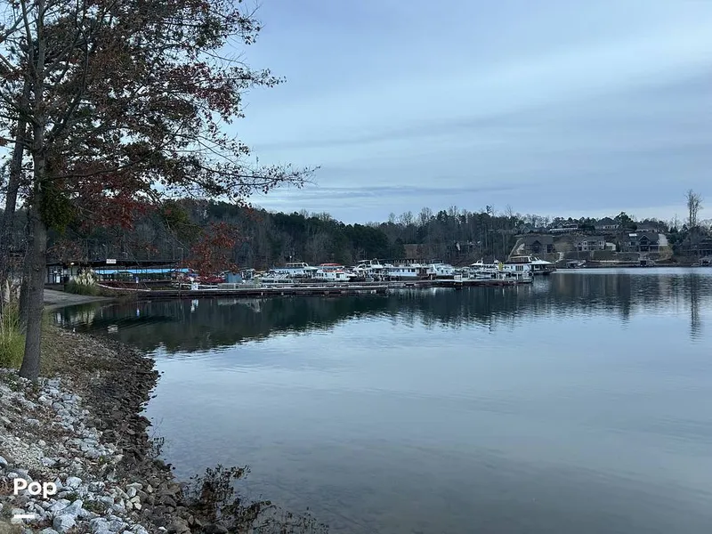 Slide: The Image of Sumerset Stardust 70 1987 - 16128022