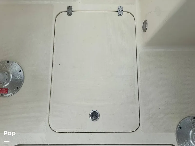 Slide: The Image of Scout 210 Dorado 2022 - 15459041