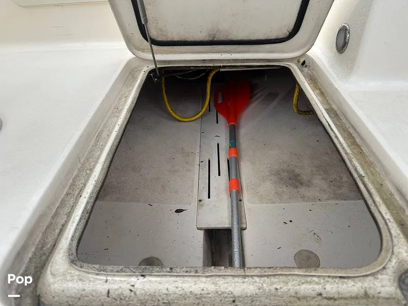 Slide: The Image of Scout 210 Dorado 2022 - 15459042