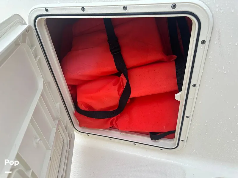 Slide: The Image of Scout 210 Dorado 2022 - 15459043