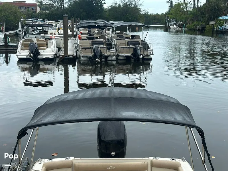 Slide: The Image of Scout 210 Dorado 2022 - 15459039