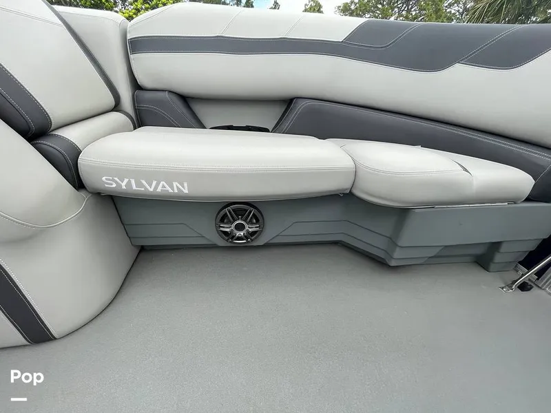 Slide: The Image of Sylvan L3 CRS 2022 - 15457418