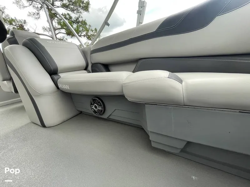 Slide: The Image of Sylvan L3 CRS 2022 - 15458063