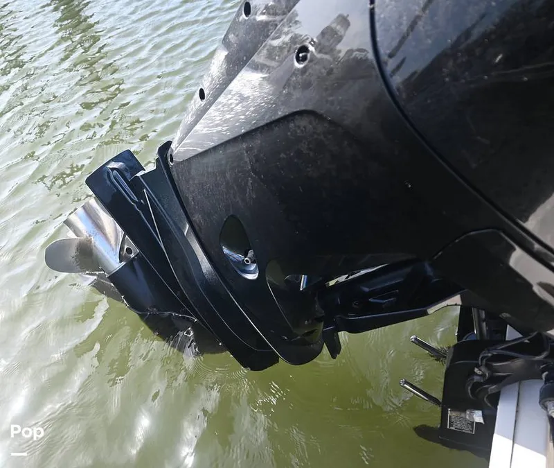 Slide: The Image of Sea Ray SPX 230 2024 - 15378060