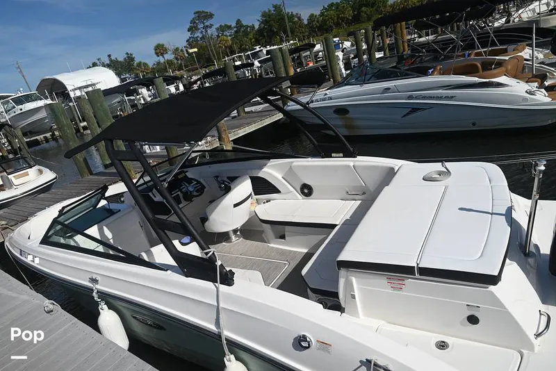 Slide: The Image of Sea Ray SPX 230 2024 - 15378056