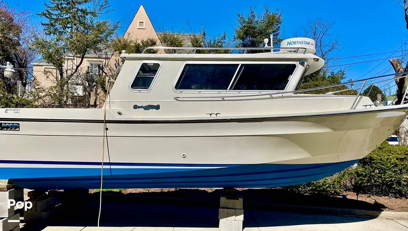 The Image of Sea Sport 2400 LX Explorer 2001 - 15342660