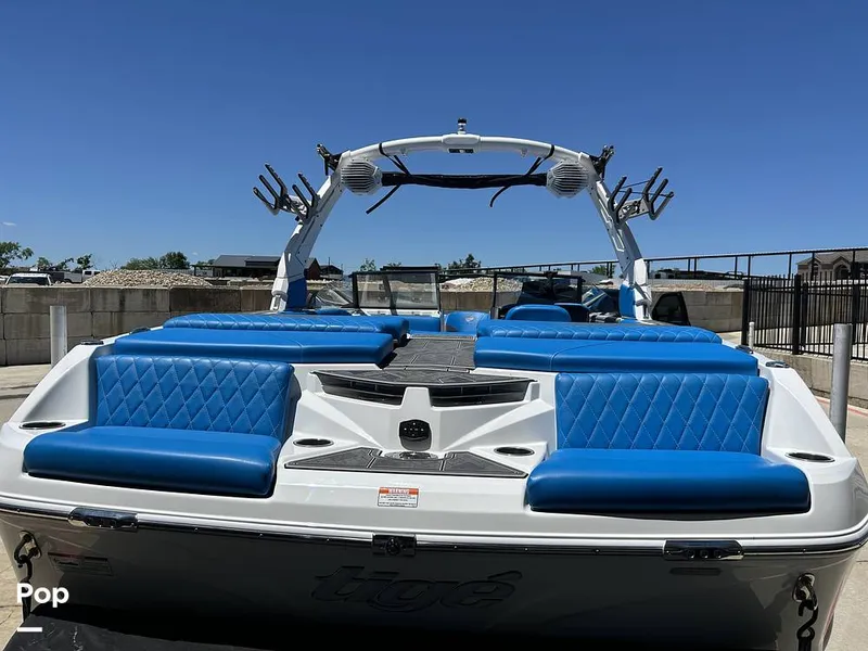 Slide: The Image of Tige Z3 2024 - 15420020