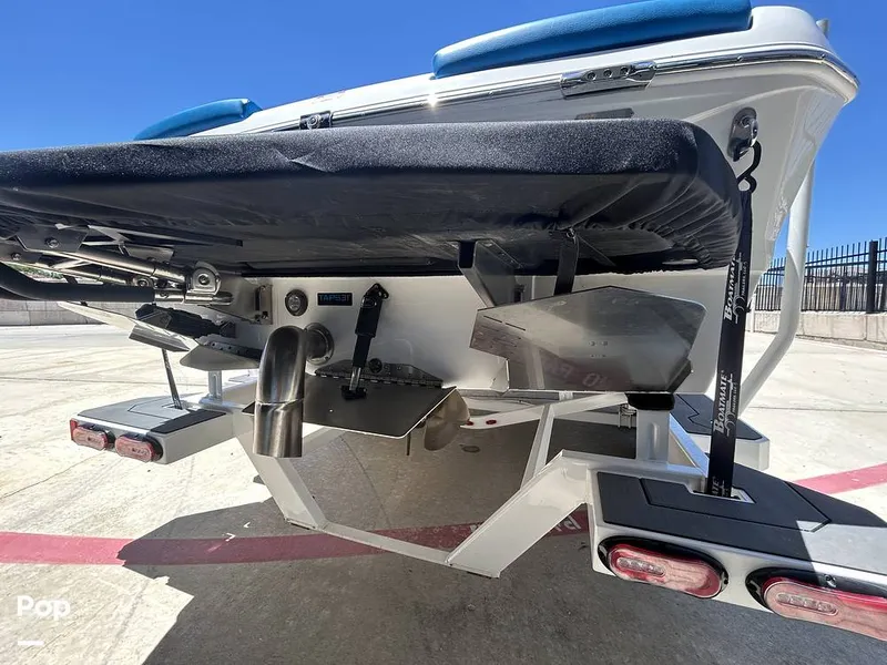 Slide: The Image of Tige Z3 2024 - 15420023