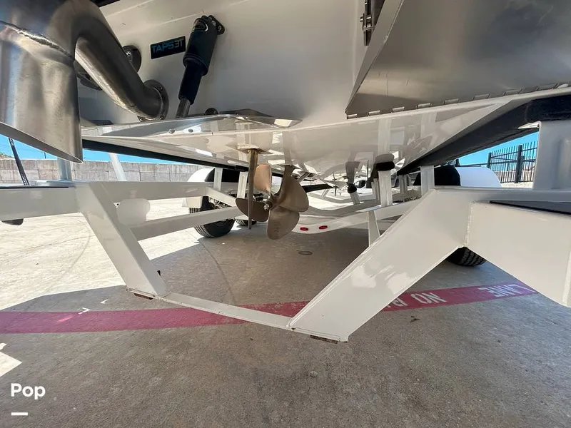 Slide: The Image of Tige Z3 2024 - 15420024