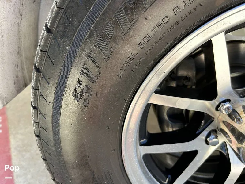 Slide: The Image of Tige Z3 2024 - 15420010