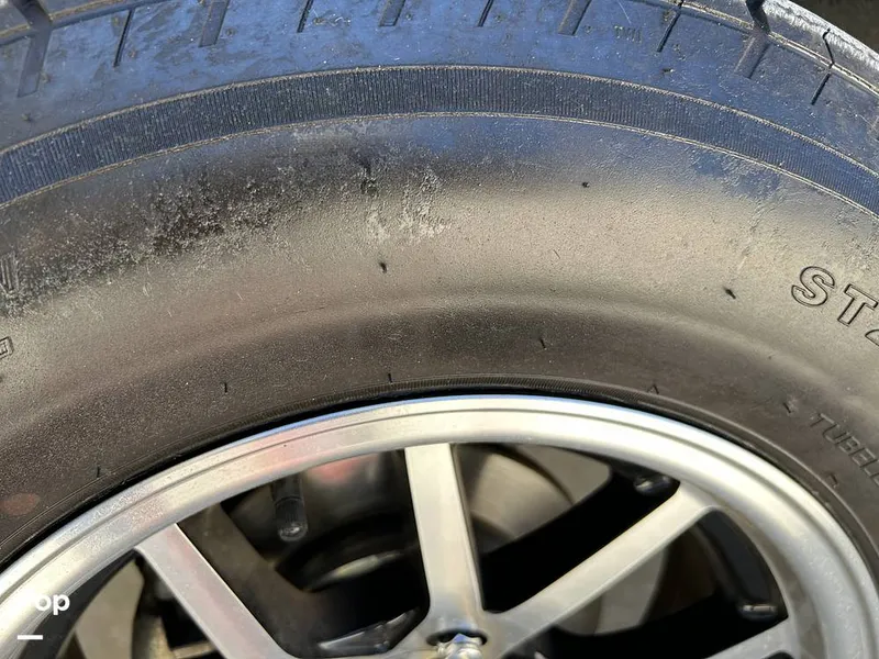 Slide: The Image of Tige Z3 2024 - 15420011