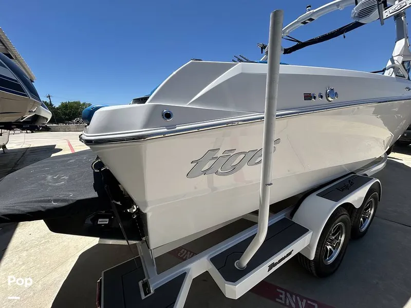 Slide: The Image of Tige Z3 2024 - 15420028