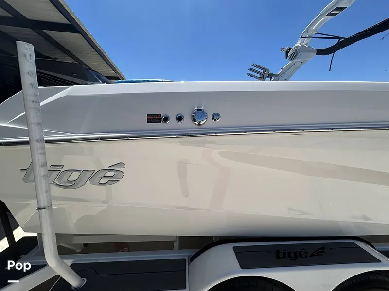 Slide: The Image of Tige Z3 2024 - 15420029