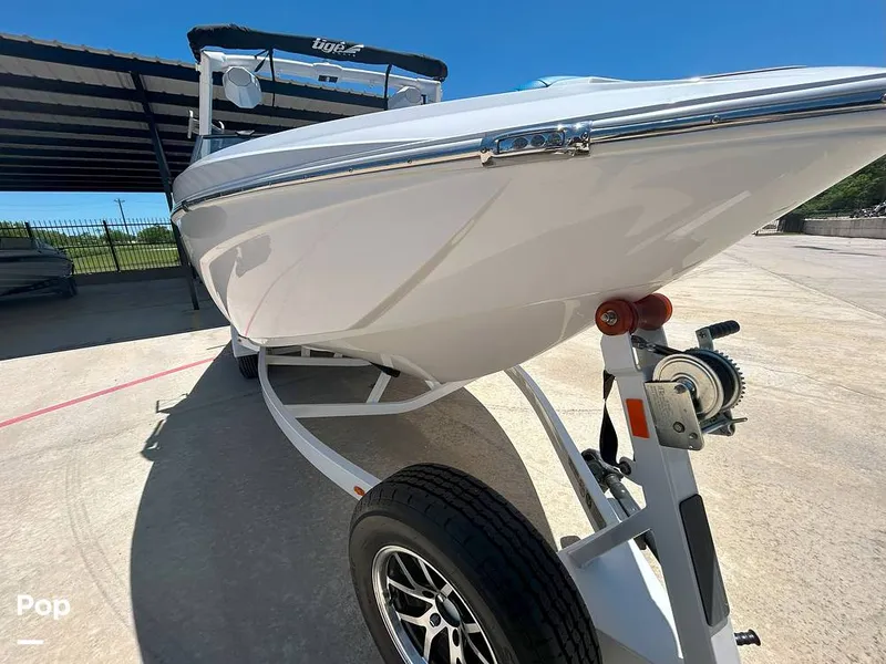 Slide: The Image of Tige Z3 2024 - 15420033