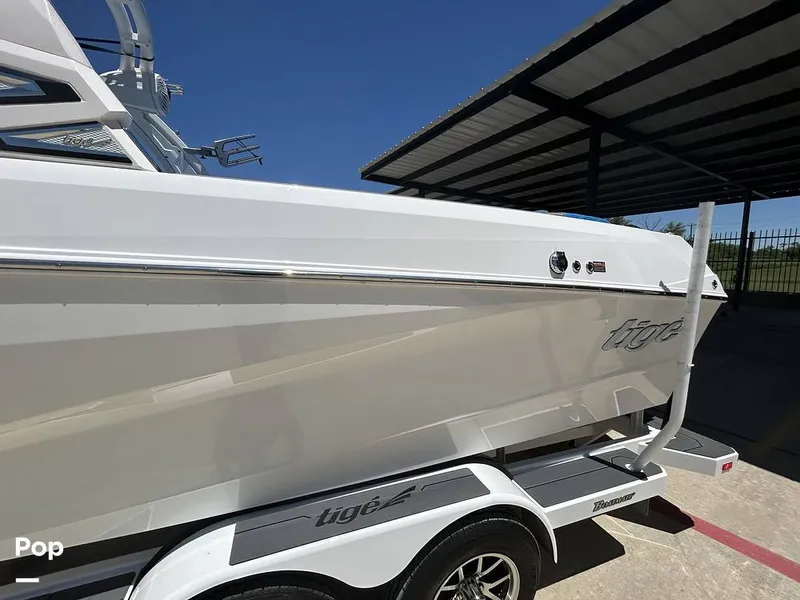 Slide: The Image of Tige Z3 2024 - 15420037