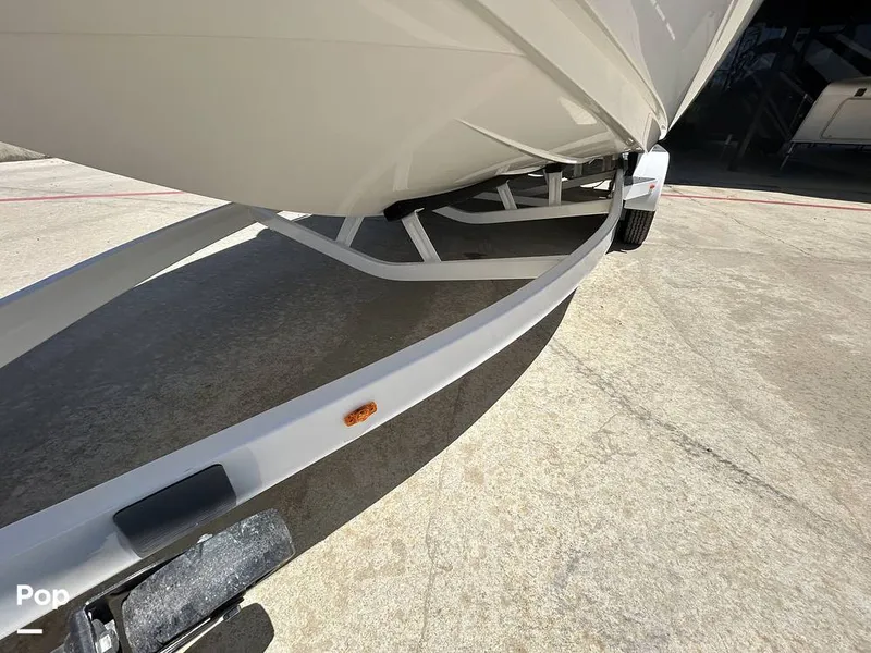 Slide: The Image of Tige Z3 2024 - 15420043