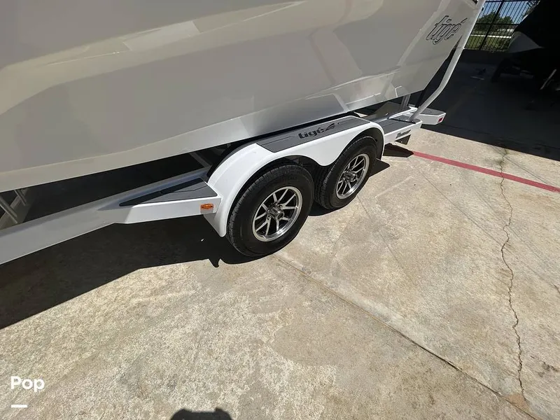 Slide: The Image of Tige Z3 2024 - 15420044