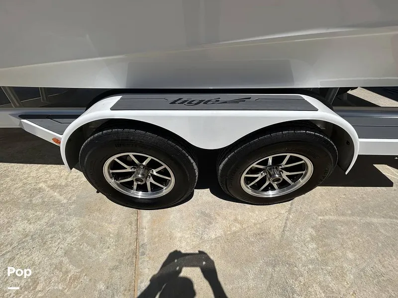 Slide: The Image of Tige Z3 2024 - 15420045