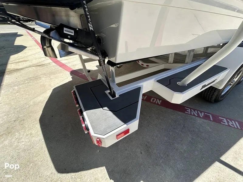 Slide: The Image of Tige Z3 2024 - 15420048