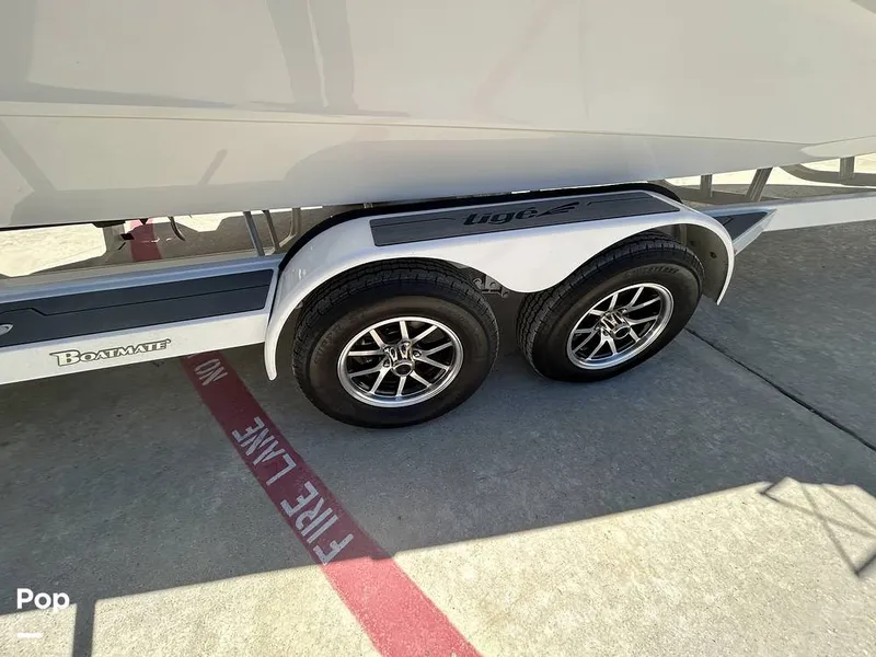 Slide: The Image of Tige Z3 2024 - 15420049