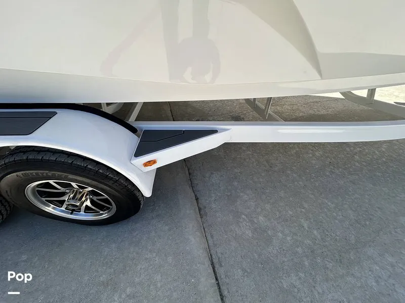 Slide: The Image of Tige Z3 2024 - 15420050