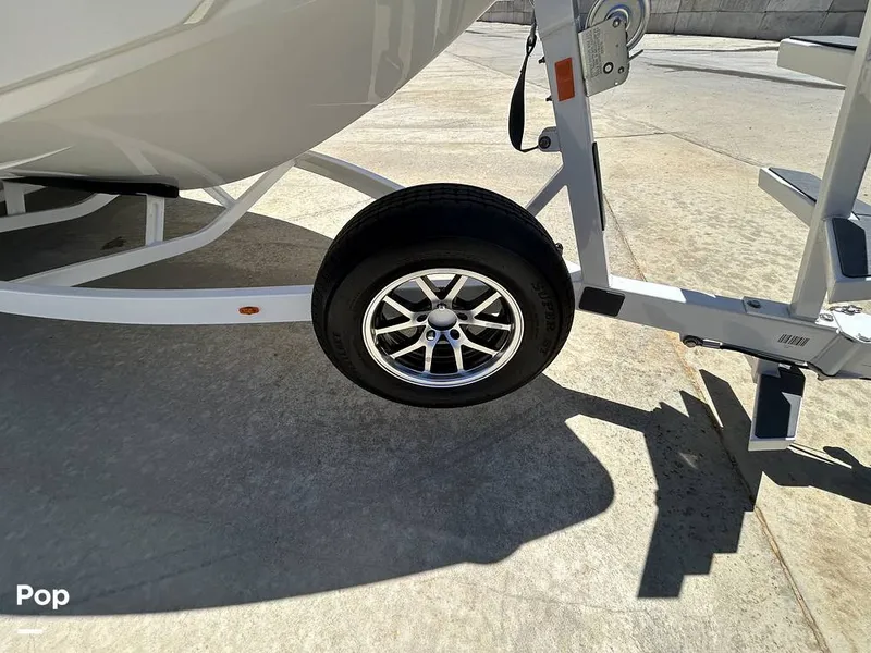 Slide: The Image of Tige Z3 2024 - 15420055