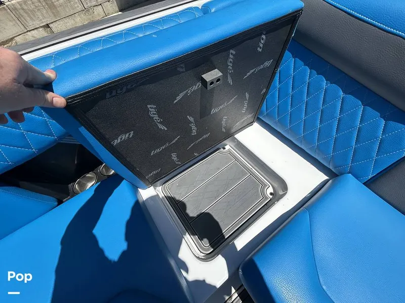 Slide: The Image of Tige Z3 2024 - 15420076