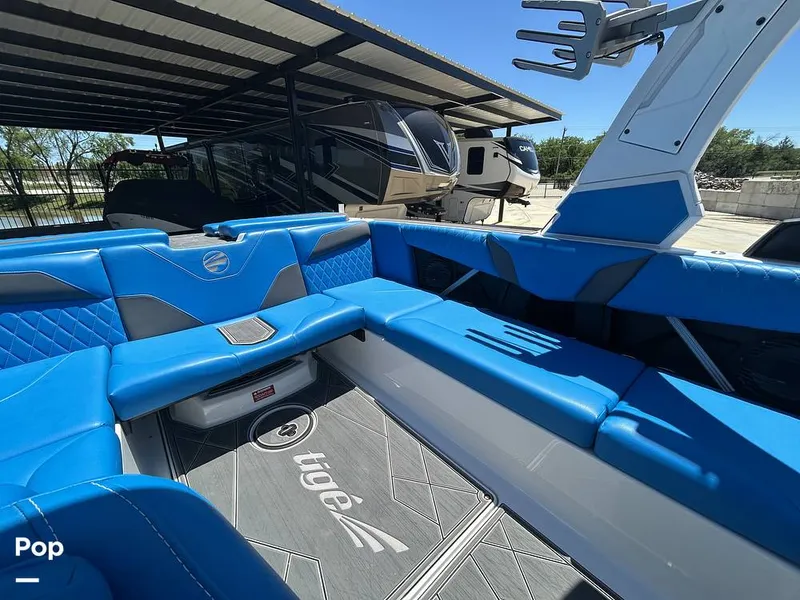 Slide: The Image of Tige Z3 2024 - 15420085