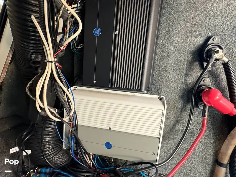 Slide: The Image of Amp - 15705402