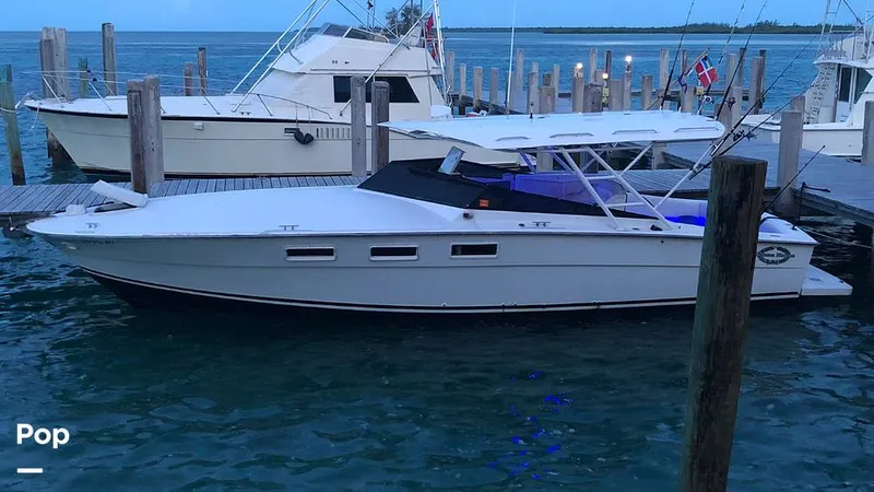 Slide: The Image of Magnum 35 Express 1968 - 15348949