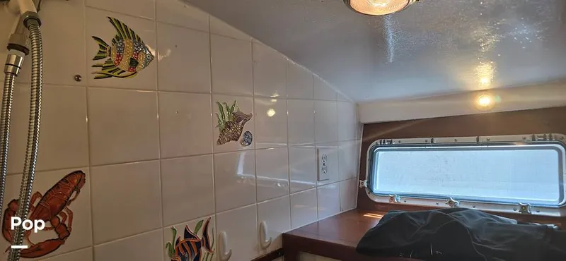 Slide: The Image of Magnum 35 Express 1968 - 15512596