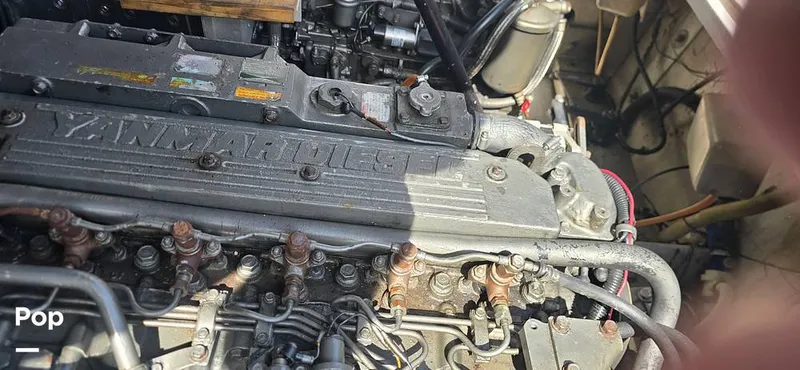 Slide: The Image of Magnum 35 Express 1968 - 15512604