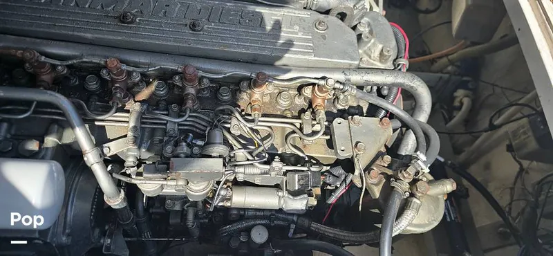 Slide: The Image of Magnum 35 Express 1968 - 15512605