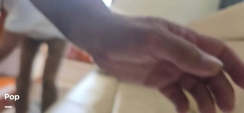 Slide: The Image of Magnum 35 Express 1968 - 15512610