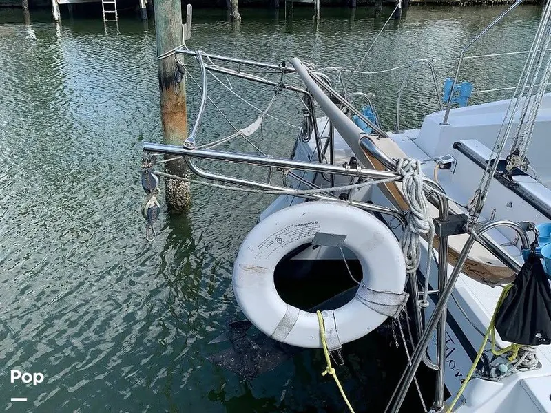 Slide: The Image of Davit - 15354982