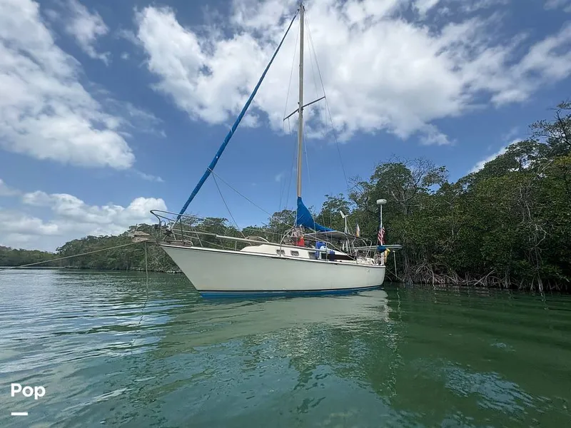 The Image of O'Day 37 Mid-Cockpit 1979 - 15467757