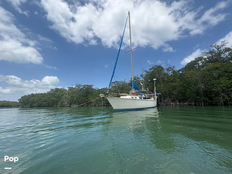 Slide: The Image of O'Day 37 Mid-Cockpit 1979 - 15467754