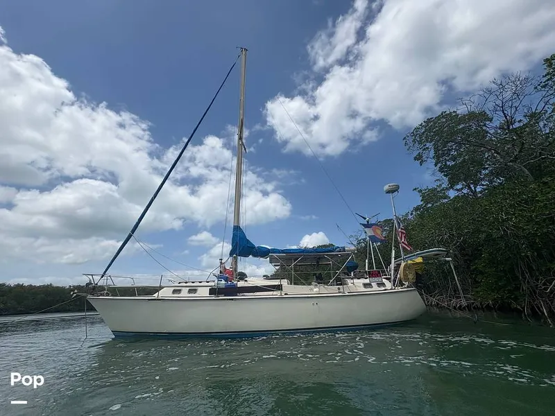 Slide: The Image of O'Day 37 Mid-Cockpit 1979 - 15467755