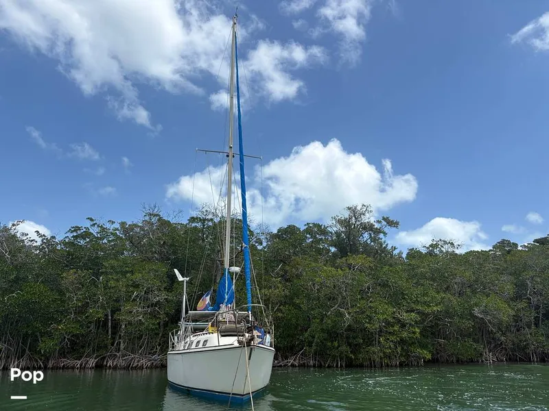 Slide: The Image of O'Day 37 Mid-Cockpit 1979 - 15467756
