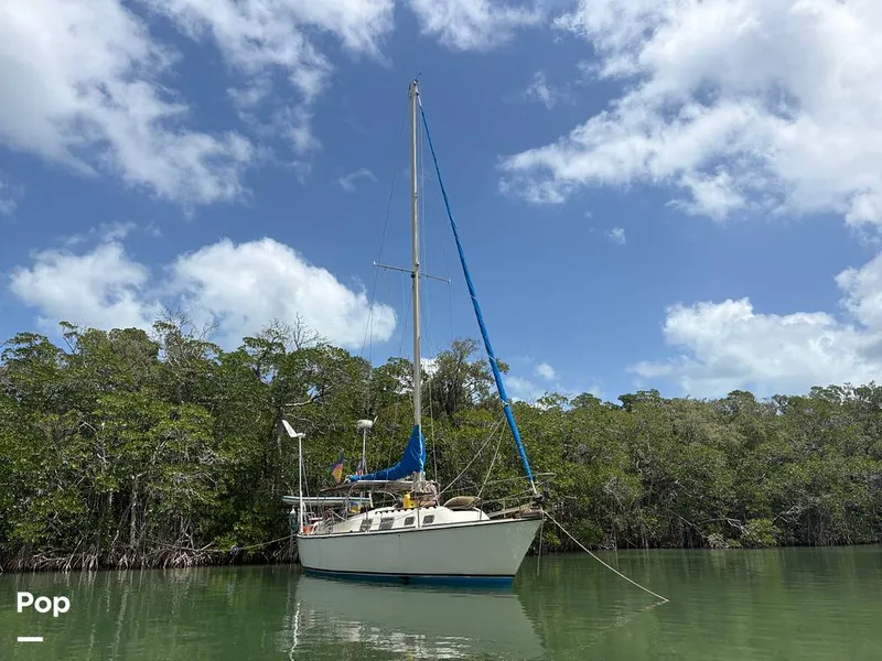Slide: The Image of O'Day 37 Mid-Cockpit 1979 - 15467751