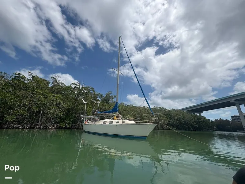 Slide: The Image of O'Day 37 Mid-Cockpit 1979 - 15467753