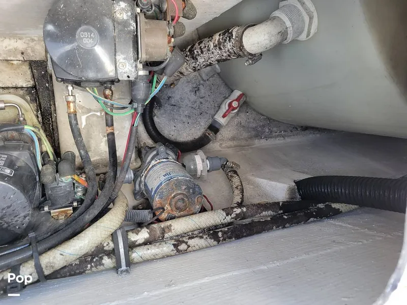 Slide: The Image of Fountain 31 Tournament Edition 2004 - 15404059