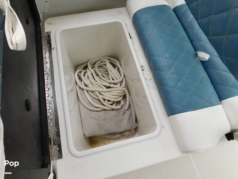 Slide: The Image of Sailfish 275DC 2016 - 15417250