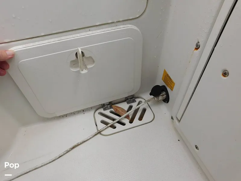 Slide: The Image of Sailfish 275DC 2016 - 15417284