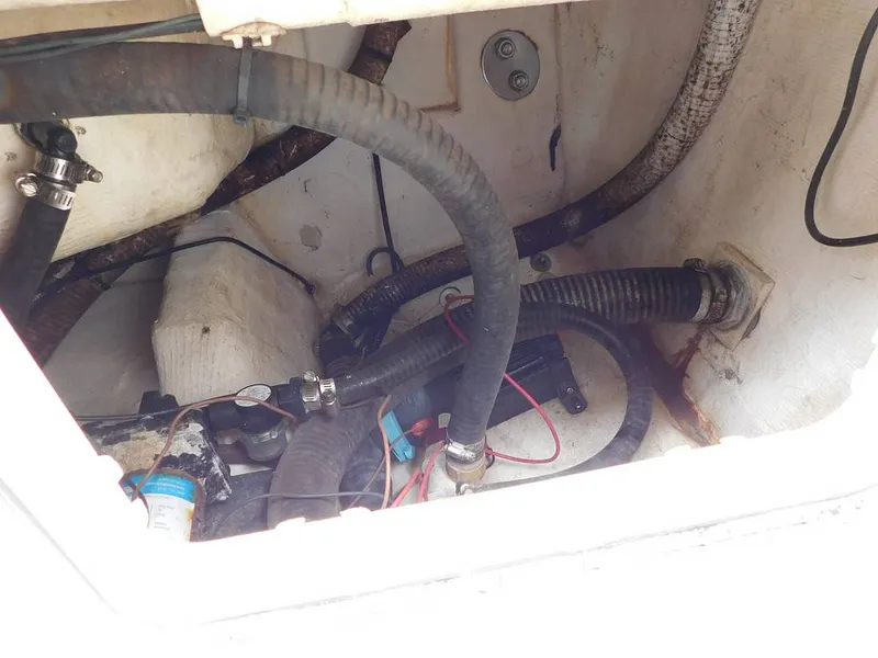 Slide: The Image of Sailfish 275DC 2016 - 15417285